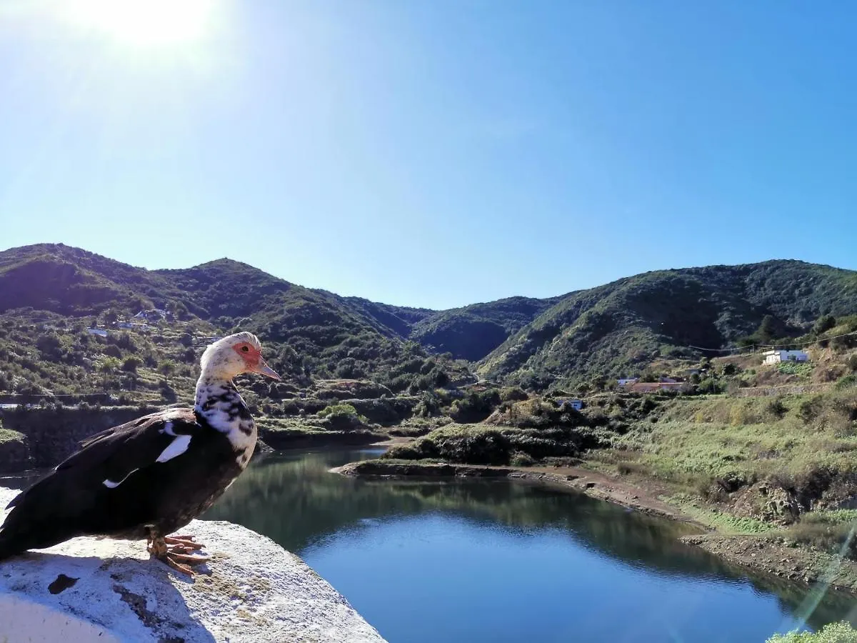 Casa Rural Leo: Remanso De Paz Y Tranquilidad Agulo Ferienhaus